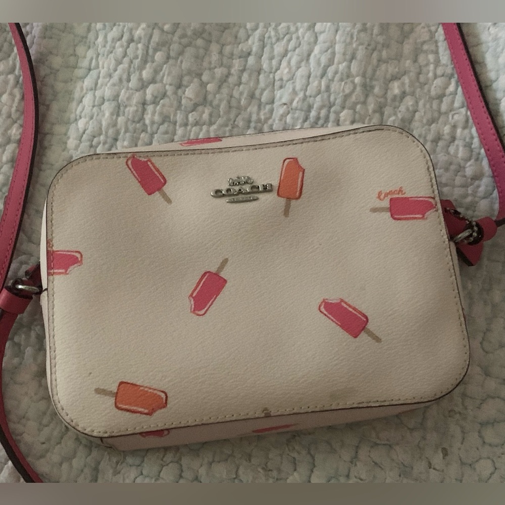 Coach Ice Cream Purse